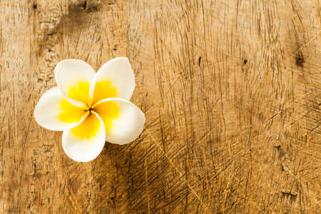 wood and flowerの写真素材