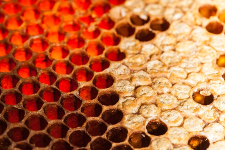 beehive and beeの写真素材
