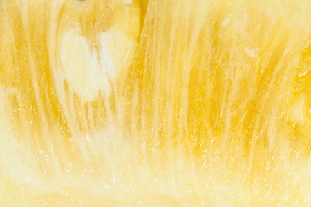 pineappleの写真素材