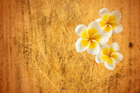 wood and flowerの写真素材