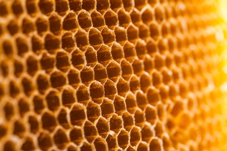 beehiveの写真素材