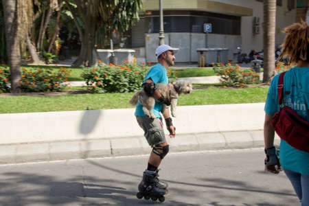 MALAGA, SPAIN - JUNE 19: Man skates with his dog at the 6th Skate Day race on June 19, 2011 in Malaga, Spainのeditorial素材