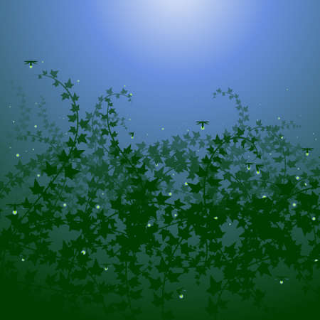 Ivy undergrowthのイラスト素材