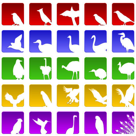 Twenty five bird iconsのイラスト素材