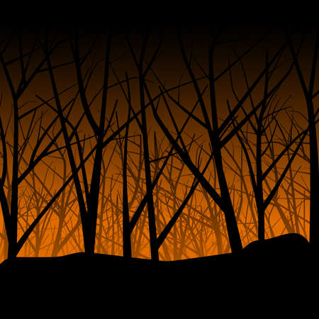 Haunted forestのイラスト素材