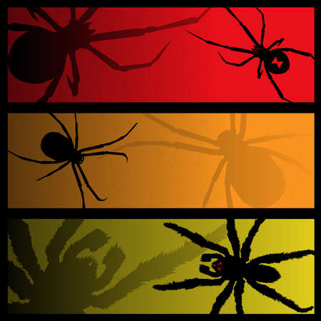 spider bannersのイラスト素材