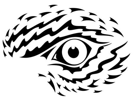 Eagle eye graphicのイラスト素材