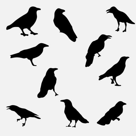 set of silhouettes of crowsのイラスト素材