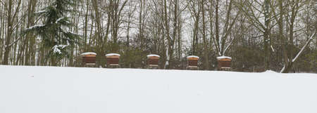 Aligned Beekeeping under the snowの写真素材