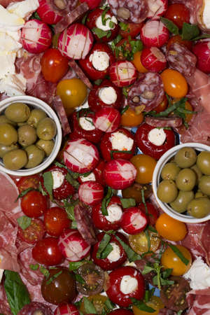 appetizer: tomato, green olive, sausage, radish #3の写真素材