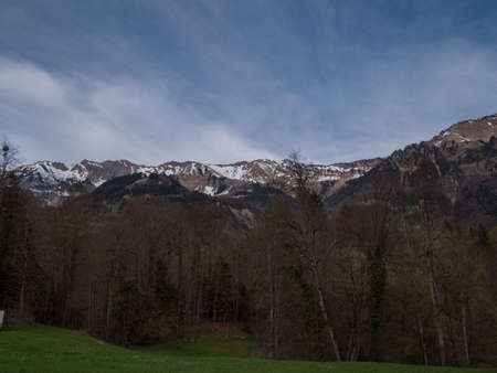 Beautiful Swiss Landscapes with Snow Alps green grass