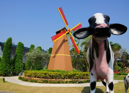 cow and pin wheelの写真素材