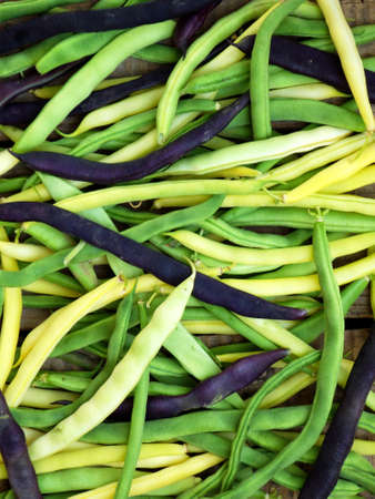 background of green, yellow and purple asparagus beans