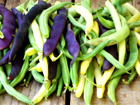 fresh green, yellow and purple green beans, asparagus on a wooden backgroundの写真素材