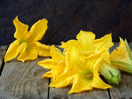fresh, organic flowers of zucchini on wooden table. rustic style. selective focusの写真素材