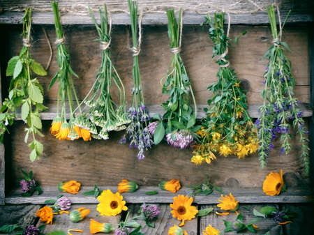bunches of healing herbs - mint, yarrow, lavender, clover, hyssop, calendula, milfoil, herbal medicineの写真素材