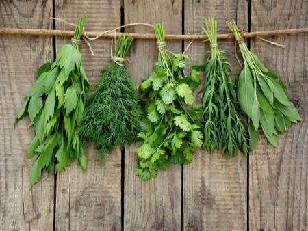 aromatic herbs lovage, dill, cilantro, hyssop, sage on wooden backgroundの写真素材