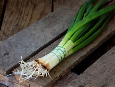 bunch of green onions on a wooden background. Space for textの写真素材