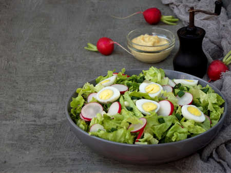 Vitamin salad from lettuce, radish, green onions and eggs, seasoned with vegetable oil and mustard in plate on gray concrete background. Healthy food. Space for text.の写真素材
