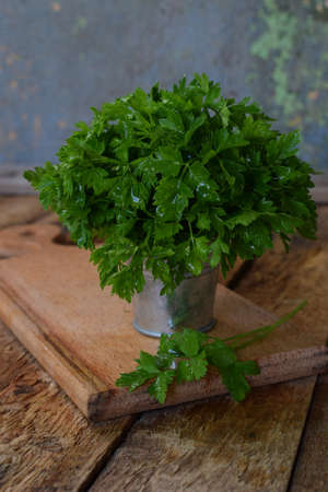 Organic bunch of parsley on wooden background. Spring green herbs.