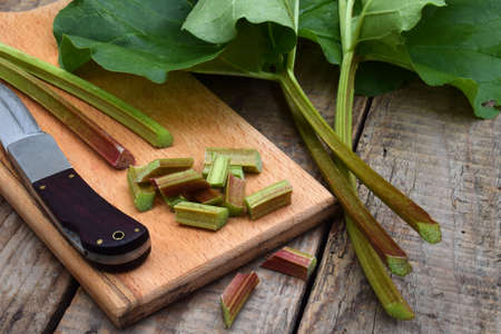 bunch of fresh green organic rhubarb on wooden backgroundの写真素材