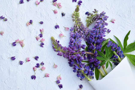 Pink and purple lupine flowers border. Birthday, Mother's day, Valentine's Day, March 8, Wedding card or invitation. Floral decorative frame. Festive background. Top view.の写真素材