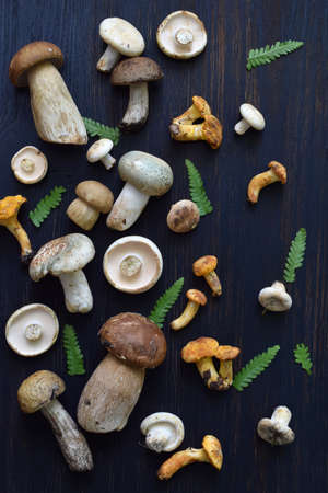 Edible wild white mushrooms, boletus, russule, chanterelles on the wooden background