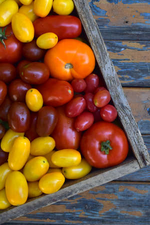 Organic tomatoes of different varieties and colors in a wooden box. Healthy foodの写真素材