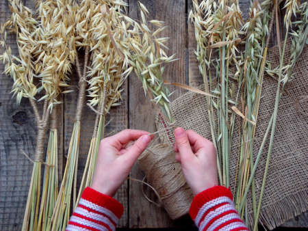 Making of Didukh of spikelets oats - Christmas, symbolic and ceremonial sheaf Ukrainian, symbolizing prosperity in the house and in the familyの写真素材