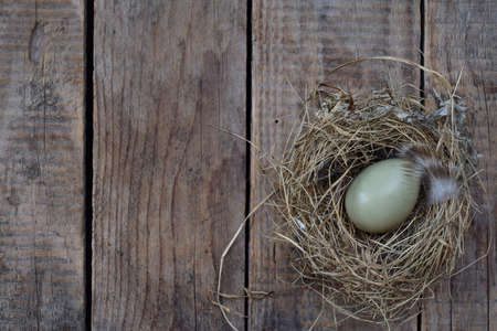 birds eggs from pheasant with feathers in nest of hay on wooden background. Copy space.