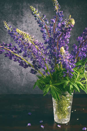 Lupine. Still life with purple flowers bouquet in vaseの写真素材