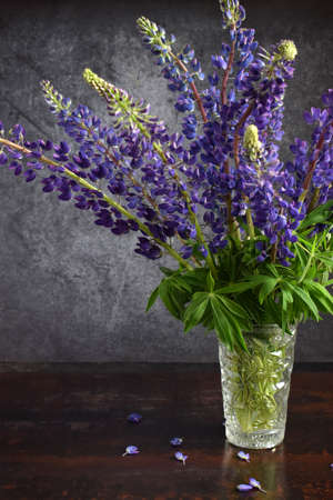 Lupine. Still life with purple flowers bouquet in vaseの写真素材