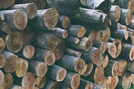 Background of dry chopped firewood logs in a pile.