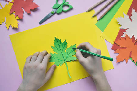 Making maple leaf from colored paper with your own hands for decoration of greeting card. Handmade crafts. Hello Autumn concept. Children's DIY. Copy space. Step 3. Draw the veins of the leaf.の写真素材
