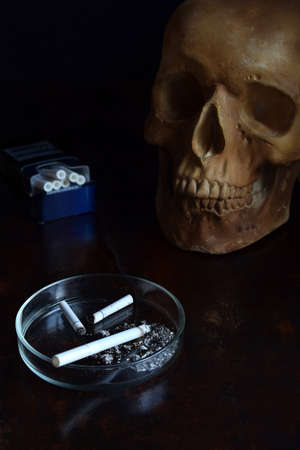Human skull and cigarette on dark background. Stop smoking concept. Nicotine addiction and bad habitsの写真素材