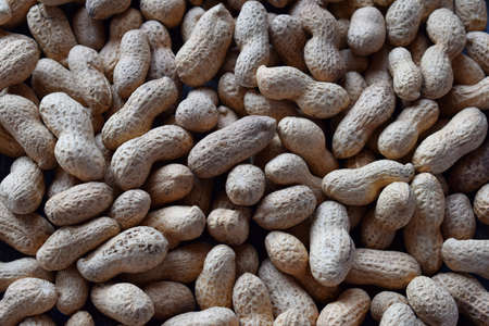 Peanuts in nutshell. Nut background. Healthy and dietary nutrition. Raw food