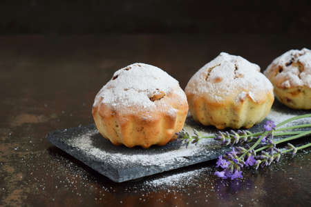 Sweet muffin from gluten free flour and lavender, sprinkled with sugar powder. Homemade baking. The...