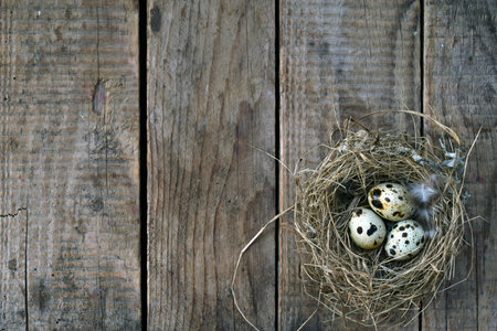 Rustic wooden background with a bird nest placed on it symbolizing nature simplicity and countryside life perfect for eco design concepts rural lifestyle and natural backgroundsの写真素材