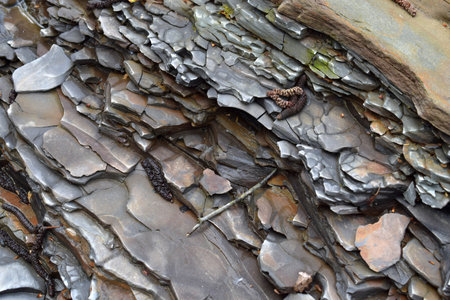 Flat sedimentary rock layers fractured and overlapping along riverbank terrain during daylight at early spring creating geological patterns and showcasing natural erosion in temperate climate zone.の写真素材