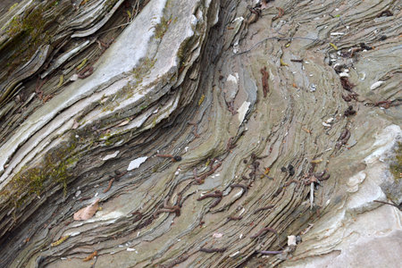 Curved sedimentary rock layers forming wave-like patterns along riverbank terrain shaped by...