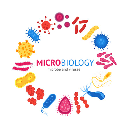 Virus and Bacteria Card. Concept Of Microbiology. Flat Design Style. Vector illustrationのイラスト素材