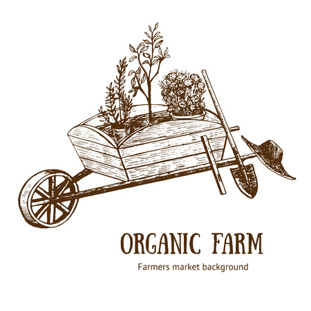 Garden Cart, Wheelbarrow or Trolley Organic Farm Hand Draw Sketch. Vector illustrationのイラスト素材