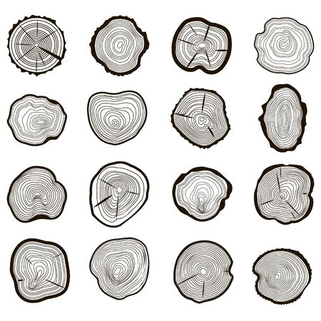 Tree Rings Set Saw Cut Trunk. Vectorのイラスト素材