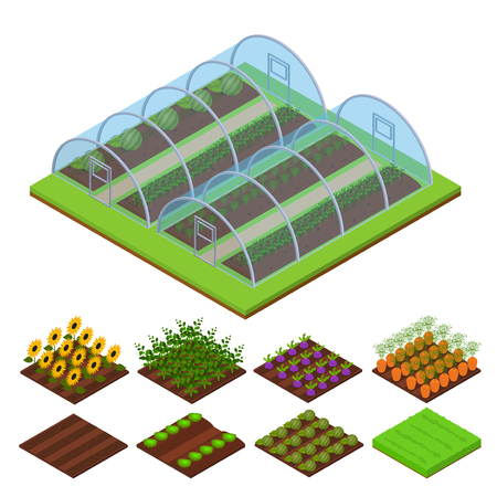Greenhouse Isometric View. Vectorのイラスト素材