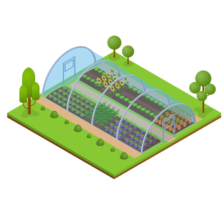 Greenhouse Isometric View.のイラスト素材