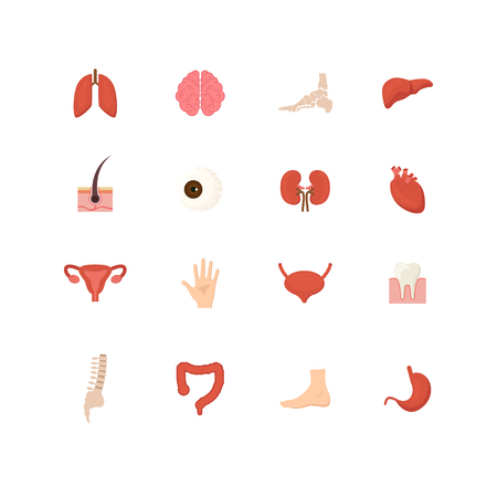 Cartoon Human Internal Organs Icons Set . Vectorのイラスト素材