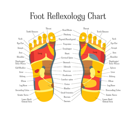 Cartoon Reflexology Feet Alternative Medicine. Vectorのイラスト素材