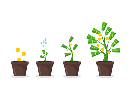 Money Tree Growing in Pot. Vectorのイラスト素材