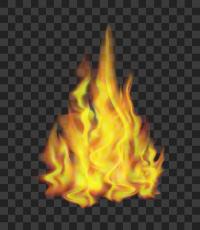 Realistic bright fire flames on transparent light effect for web design.のイラスト素材