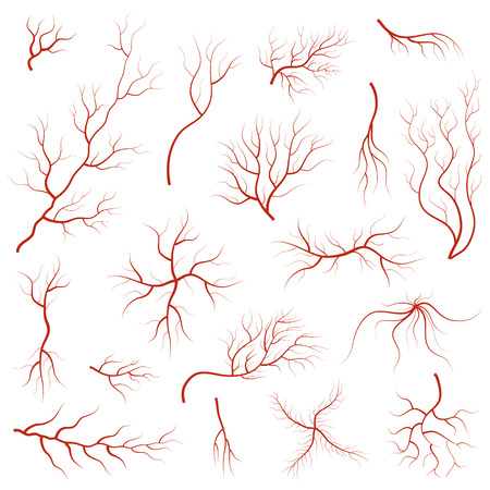 Cartoon Vein Blood Set. vector illustration.のイラスト素材